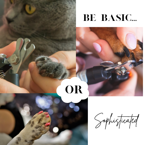 Basic Paw Pedi