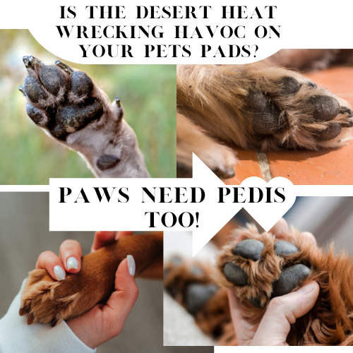 Paw Spa Package