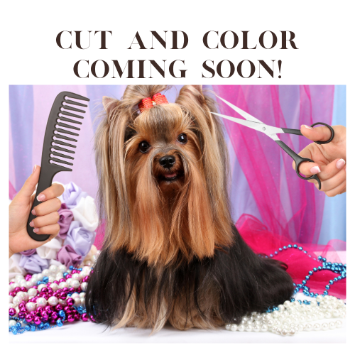 COMING SOON!